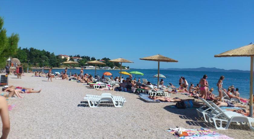Apartment Near Center,Beach,Bus +Free Parking Zadar Exteriör bild